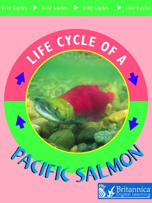 cover image of Pacific Salmon